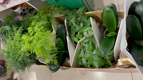 正盟环保贺客户乔迁之喜